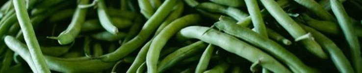 close-up raw green beans