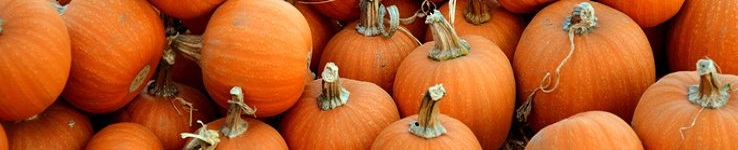 close-up piled pumpkins