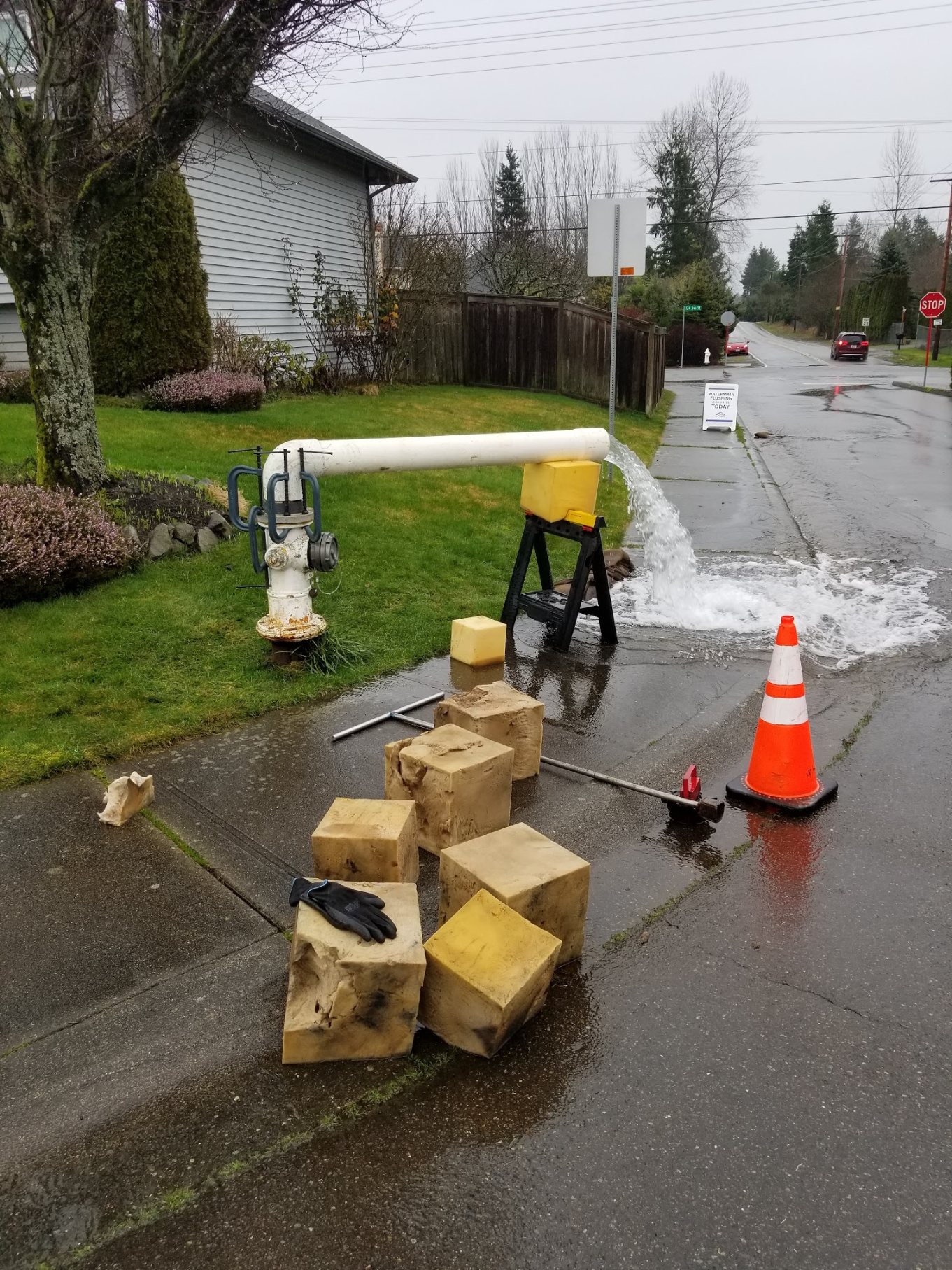 282nd & 124th 2020 water main cleaning