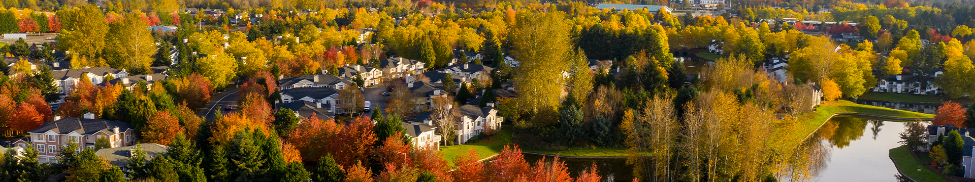 neighborhood during fall from a drone perspective