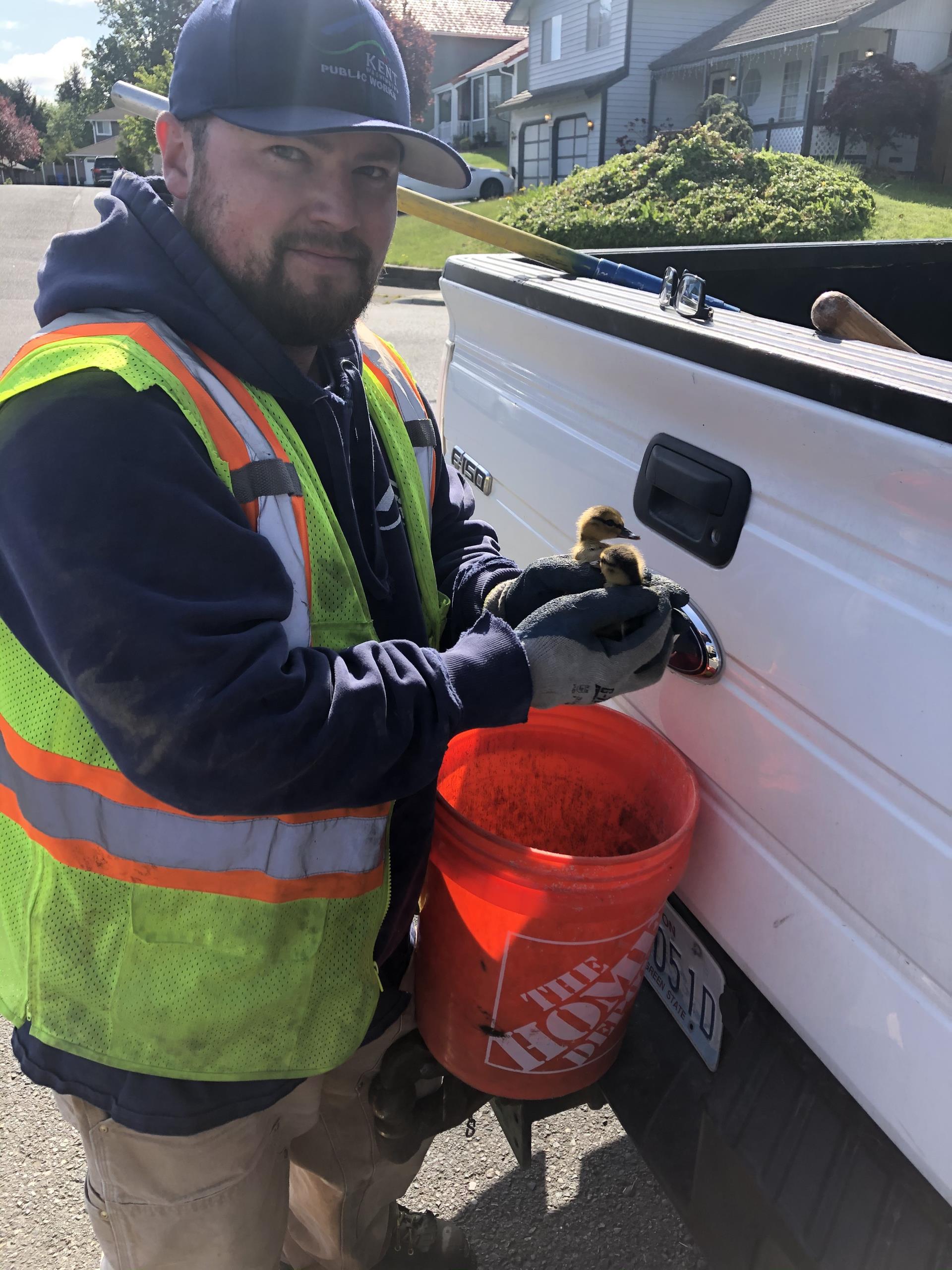 Employee Saved a Duck