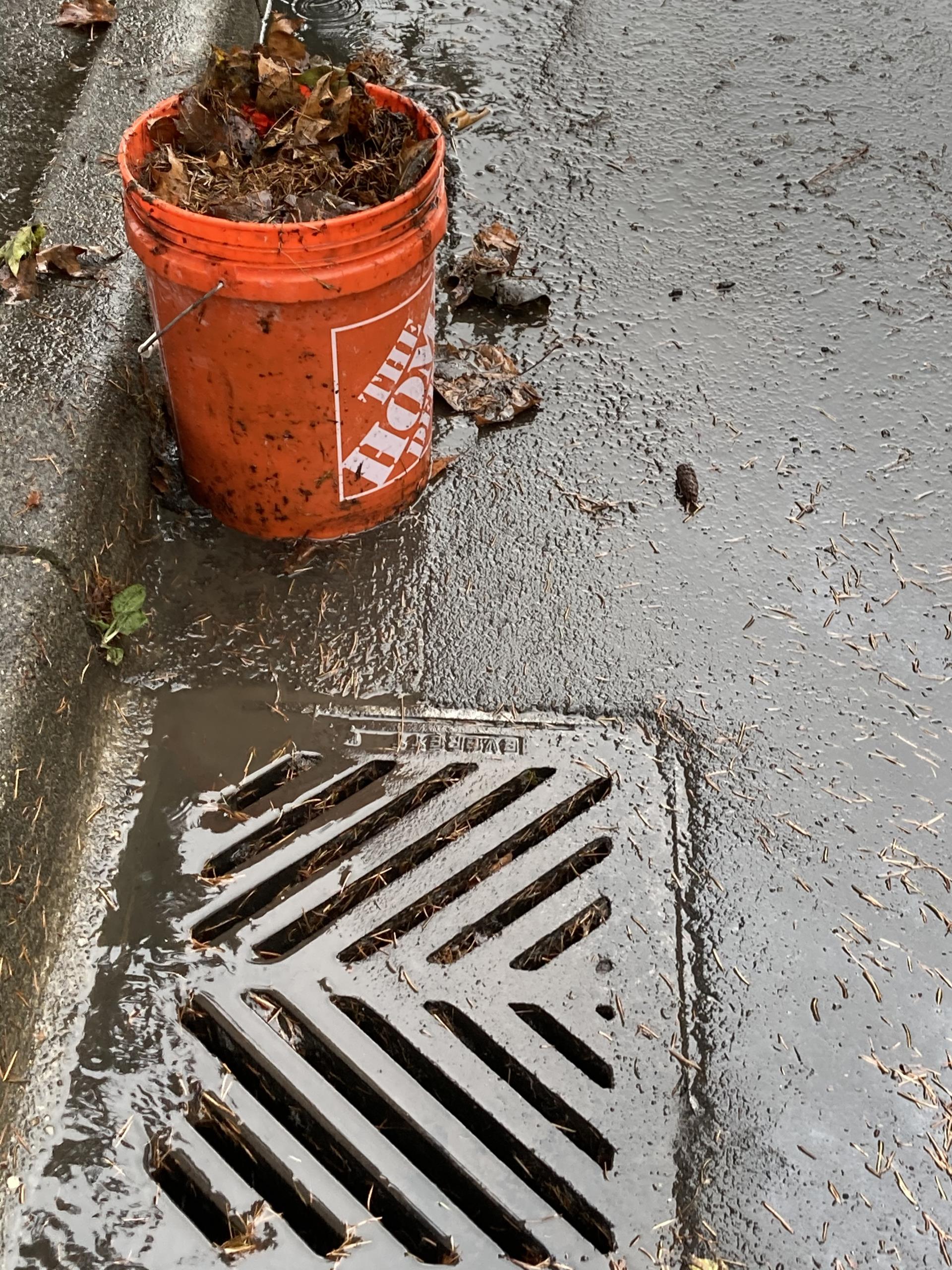 Leaves cleaned from covering catch basin and leaves in bucket