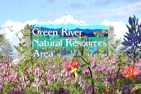 GRNRA Entrance Sign surrounded by wild flowers