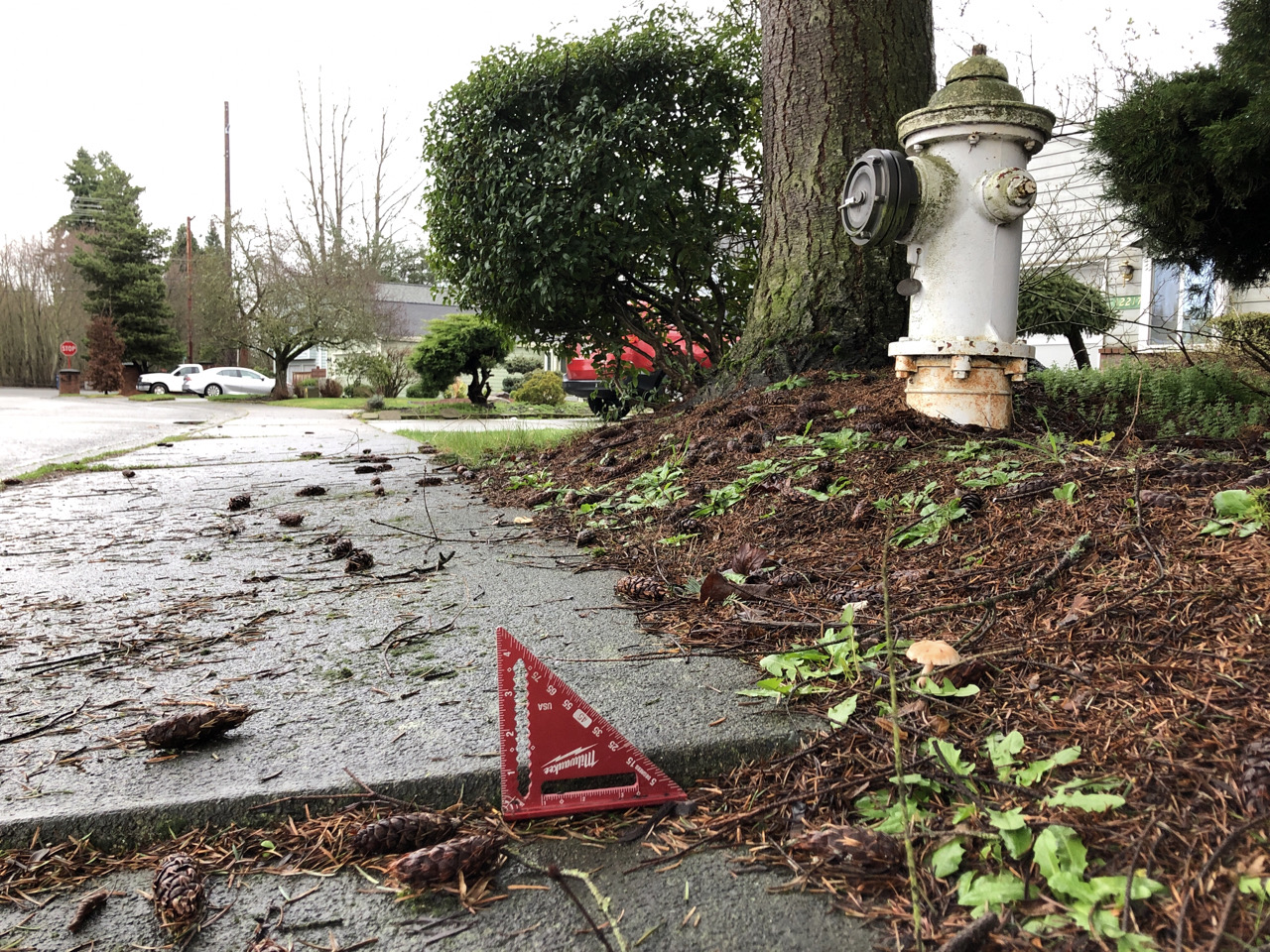 Lifted sidewalk needing repair