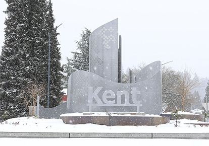 Snow falls at the 4th and Willis roundabout.