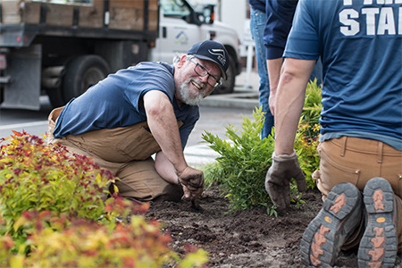 Parks staff plant shrubs along the City sidewalks.