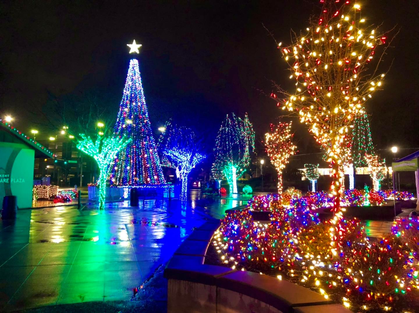 Winterfest Tree Lighting at Town Square Plaza