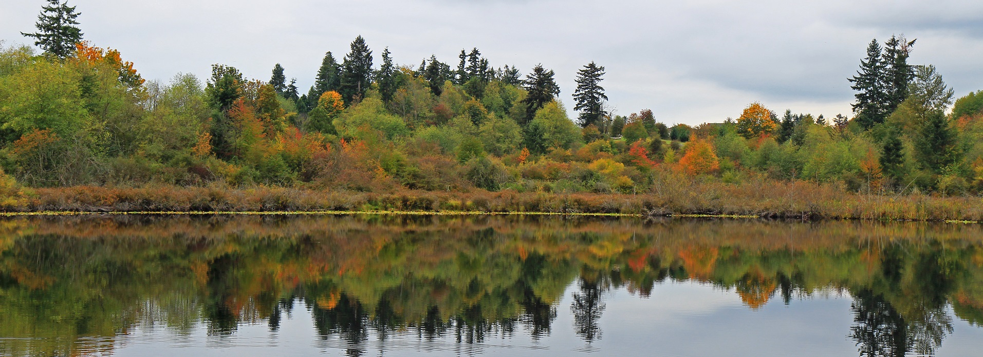 Autumn foliage on trees reflected in still waters of Clark Lake