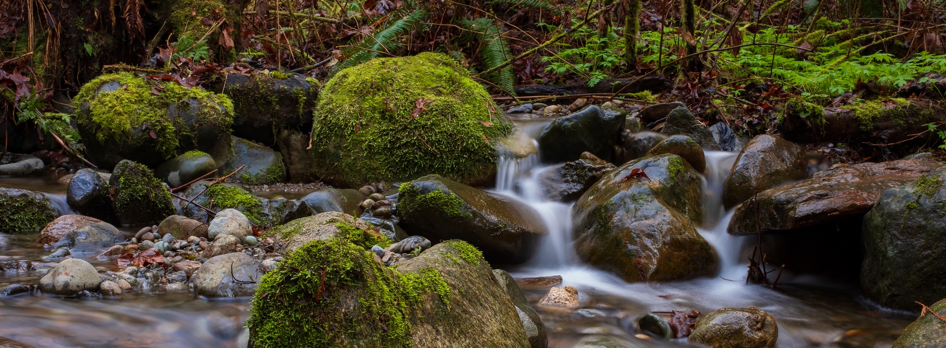 Garrison Creek water over rocks