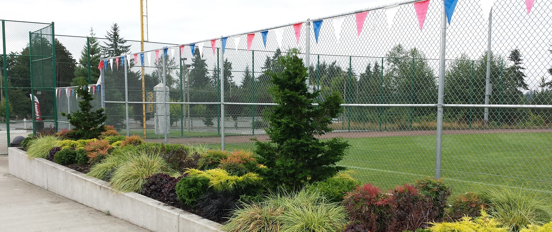 Landscaped beds by a fenced baseball field