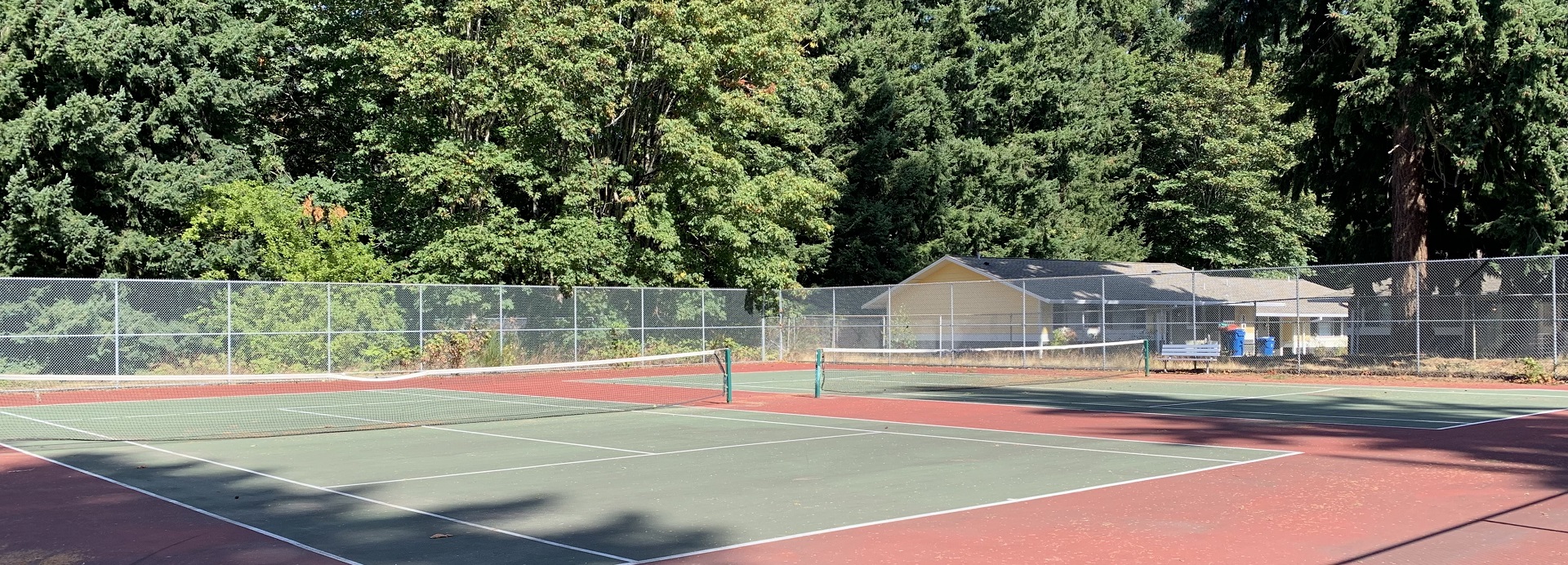 Fenced green tennis court surrounded by leafy trees on a sunny day