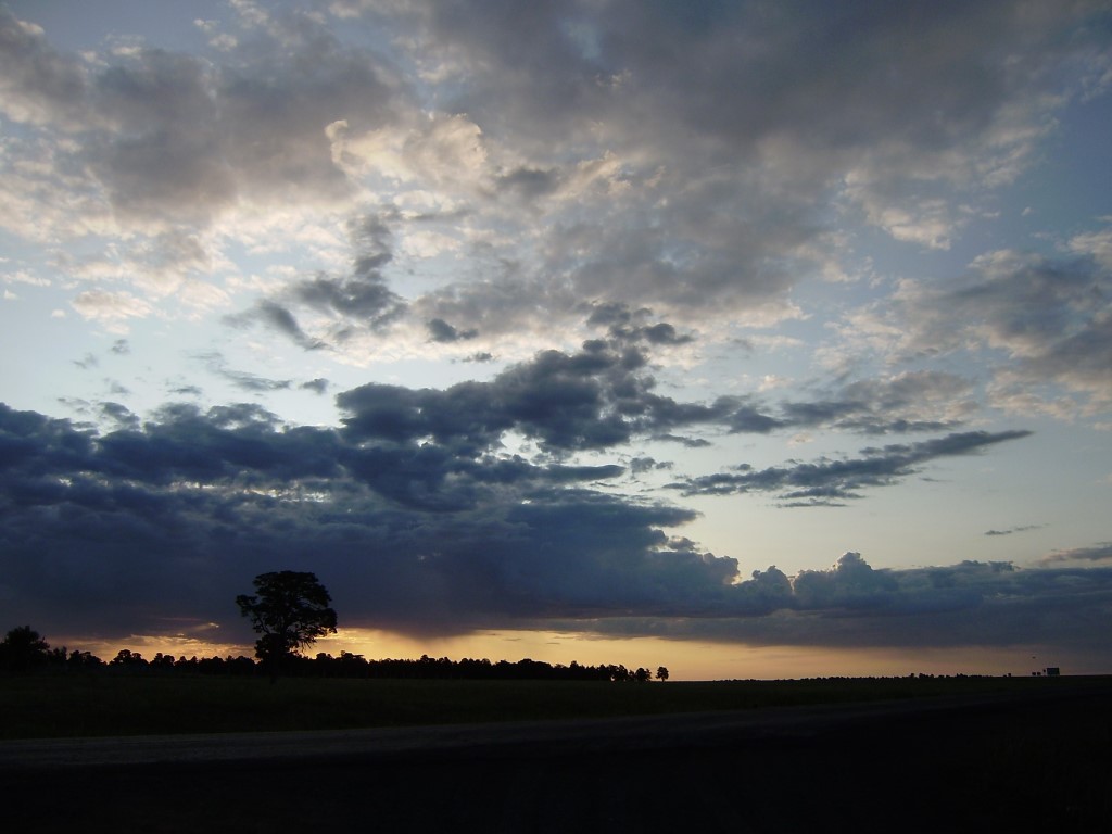 Maxim Petrov - Suburban Landscapes (Medium)