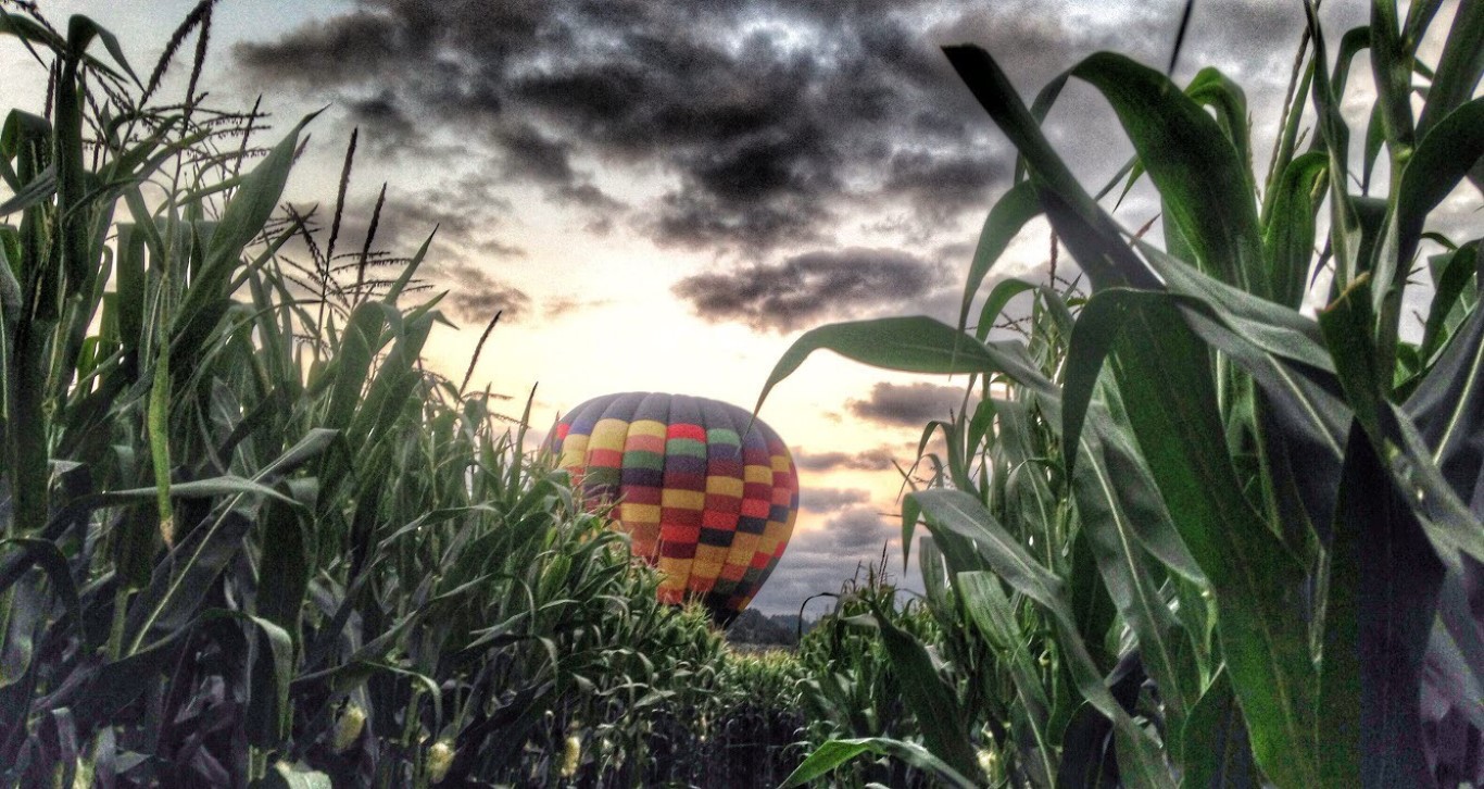 Michael Eggers - Balloon (Medium)