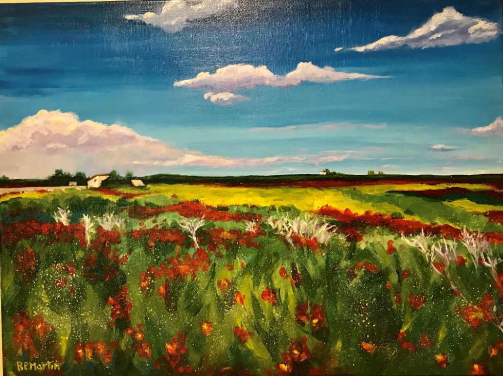 Robin Martin - Spring Poppies of the fields of Spain (Medium)