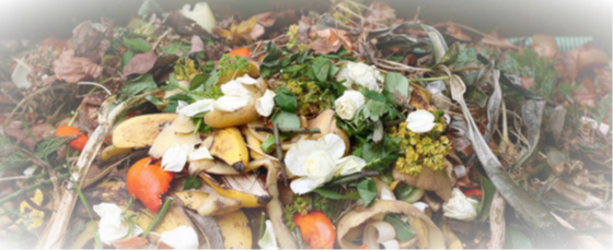 organicwaste1