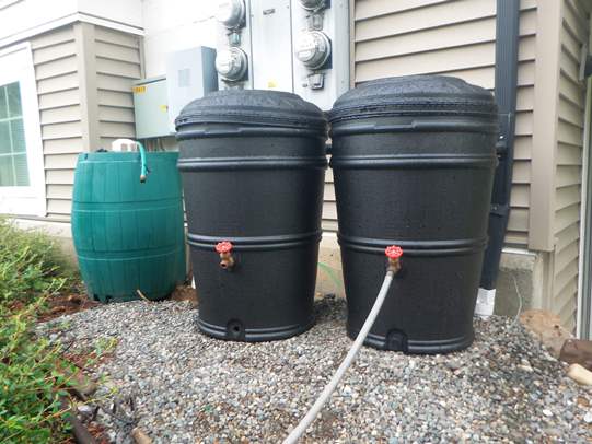 Rainbarrels