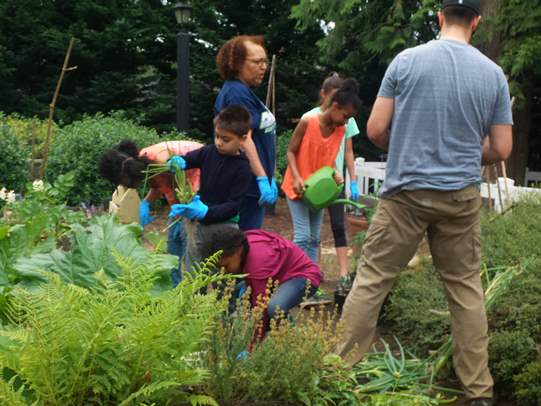 Rain Barrel Garden Project